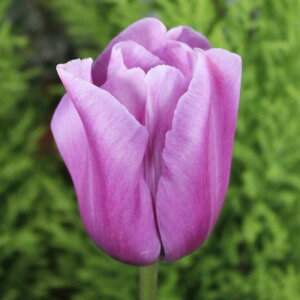 `[bv@@ᎇ@V16@4@@菤i