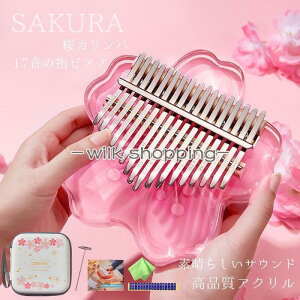 Jo ewsAm 17L[  y S TsAm AtJy Kalimba уsAm 17̎wsAm q LbY t K L[XebJ[t