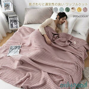 100 btPbg btDѕz uPbg K[[Pbg NC[ LO ɗD j[NȃfUC ʋCǂ | | [΍