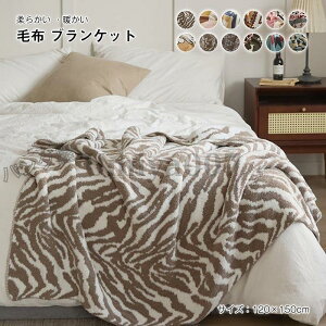 uPbg Ђ| G| ѕz 唻 jbg }`Jo[ \t@Jo[  킢 ӂӂ ObY k CeA V 120×150cm