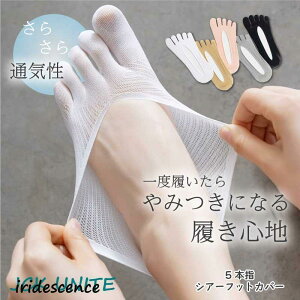 C fB[X tbgJo[ bV ʋC 炳 EȂ ܖ{w ~ Ȃ Eɂ \bNX pvX Xj[J[ 󗚂  