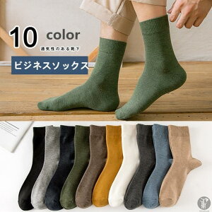 C Y 10Zbg am \bNX rWlX\bNX Xj[J[ rWlX ʋCQ 10g JWA  Vv  j ʋ ʊw