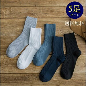 rWlX\bNX \bNX Y am\bNX 5Zbg C  n ʋC  ʋ ʊw