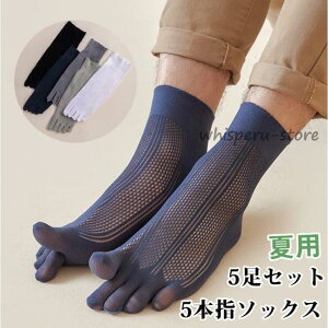  C Y 5{w\bNX 5Zbg EȂ ėp Xj[J[\bNX V[g   ~ 5{wC Ȃ 