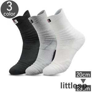 X|[c\bNX N[\bNX V[g\bNX Y fB[X j  C    g ʋC X|[c Vv 