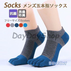 C Y 5{w \bNX rWlX\bNX L hL ̓