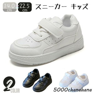 _XV[Y 22 q w _XXj[J[ qǂ xr[  Xj[J[ X|[c LbY K ^C ʉ y qC ubN zCg 