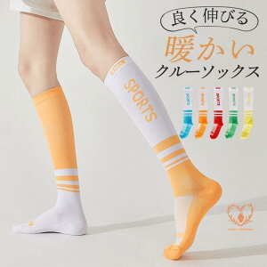 C \bNX fB[X  X|[c N[\bNX  n ₦΍ tH~ nC\bNXʋC C }\ w