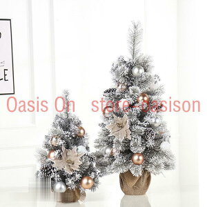 Xmas NX}X  T^N[X T^ u NX}XIuWF NX}Xc[ k ց@  AeB[N  CeA G