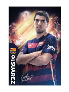 �N���u�I�t�B�V�����O�b�Y/�|�X�^�[/�o���Z���i/�X�A���X/SP1300