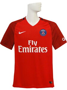 (iCL) NIKE/16/17pTWF}/AEFC//776924-601