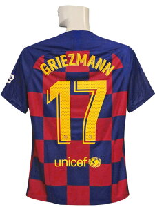 (iCL) NIKE/19/20oZi/z[//O[Y}/AJ5532-456