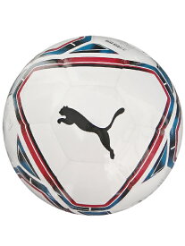 (プーマ) PUMA/プーマ チーム ファイナル 21 ライトボール 290G/プーマブラックXプーマホワイト/4号/083313-01