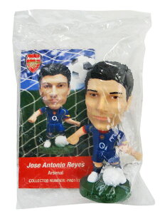 RVA/04/05A[Zi/tBMA/AEFC/WFX/PRO1116/ȈՔz(CARD̂/ύX/1_/ۏᖳ)