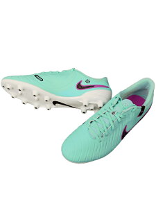 (iCL) NIKE/eBG| WFh 10 AJf~[ HG/nCp[^[NXubN/DV4339-300/rbOTCY