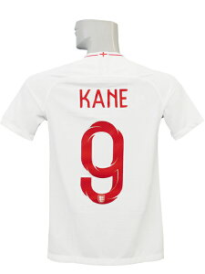 (iCL) NIKE/18/19COh\/z[//PC/WjAp/893983-100