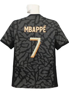 (iCL) NIKE/23/24pTWF}/T[h//Goy/DX9823-069