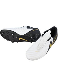 (iCL) NIKE/WjA t@g GX II AJf~[ HG/zCgXubN/FJ2602-100