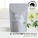 【オーストラリア産クレイ】 クレイル エクリュベージュ 250g clargile パック 傷 粘土 泥パック 入浴剤 洗顔 デトックス オーガニック ヘアケア ヘアパック ミネラル オーストラリア ベントナイト 頭皮 吸着 トリートメント 潤い 艶 薄毛 天然 美容