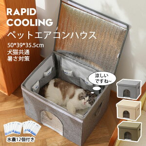 ���i�摜