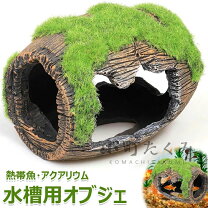 楽天市場】カブトムシ クワガタ（水槽・アクアリウム内装｜熱帯魚 