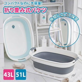 ベビーバス 折りたたみ シンク 大きめ 折りたたみ式 ペットバス ベビー 赤ちゃん 新生児 乳幼児 洗い桶 お風呂 沐浴浴槽 軽量 バス 犬 用 バスタブ コンパクト 柔らかい たらい ペット 桶 バケツ 折りたたみ式 ソーシャルギフト対応