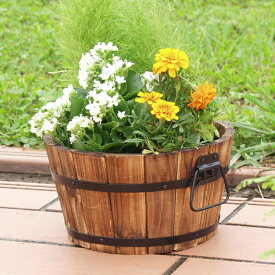 楽天市場 お庭の花セットの通販 楽天市場 お庭の花セットの通販