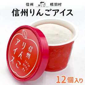 長野県産りんごを皮ごと使用！ 信州りんごアイス 12個入り 長野県 松川町産リンゴ りんごアイス アイス りんご 林檎 リンゴ アップル お取り寄せ 冷凍 スイーツ デザート おやつ おうち時間 プチギフト 贈り物 お祝い 父の日 敬老の日 根羽村 ネバーランド ：a26