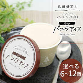 マダガスカル産 バニラビーンズ香る★バニラアイスクリーム 選べる 個数 6個 8個 12個 牛乳 ミルク ソフトクリーム スイーツ アイス プレゼント ギフト 誕生日 お歳暮：a32