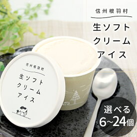 【新登場の大容量が衝撃の特別価格！】着色料・香料不使用！生ソフトクリーム アイス 選べる 個数 6個 8個 12個 24個 アイスクリーム 牛乳 ミルク ソフトクリーム スイーツ プレゼント 誕生日 メッセージカード ギフト 贈り物 お歳暮 半額 :a31