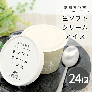 _eʐVo^FEsgpI~N̖Z\tgN[ACX 24  ~N \tgN[ XC[c ACX v[g a bZ[WJ[h Mtg 蕨 