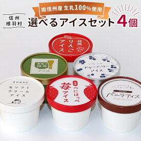 着色料不使用 選べる アイス 4個入り！ 送料無料 南信州 根羽村 ネバーランド ご当地アイス アイスクリーム 詰め合わせ 抹茶 牛乳 ミルク りんご バニラ いちご 誕生日 プレゼント ギフト 贈答用 お取り寄せ 菓子 スイーツ ：a17