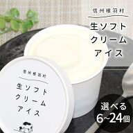 ＼24個 7,760円⇒3,980円！期間限定10/8まで／ 着色料・香料不使用！生ソフトクリーム アイス 選べる 6個…