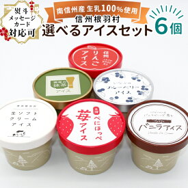 根羽村ネバーランドのご当地アイス ギフト 選べるお試し6個入り！ 搾りたての生乳を使用したアイス 信州根羽村産アイス詰め合わせ 冷凍 スイーツ 紅ほっぺいちご 抹茶 牛乳 ミルク りんご バニラ お祝い 誕生日 お歳暮 クリスマス：a13