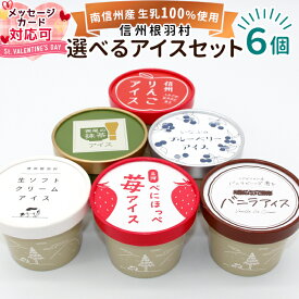 根羽村ネバーランドのご当地アイス ギフト 選べるお試し6個入り！ アイスクリーム 着色料不使用 搾りたて アイス 詰め合わせ スイーツ 紅ほっぺいちご 抹茶 牛乳 ミルク りんご バニラ お祝い 誕生日 根羽村 バレンタイン：a13