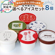着色料不使用 選べる アイス 8個入り！ 送料無料 南信州 根羽村 ネバーランド ご当地アイス アイスクリー…
