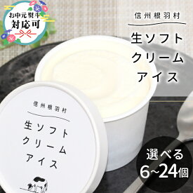 【新登場の大容量が衝撃の特別価格！】着色料・香料不使用！生ソフトクリーム アイス 選べる 6個 8個 12個 24個 アイスクリーム ミルク ソフトクリーム スイーツ お菓子 プレゼント 誕生日 メッセージカード ギフト お中元 :a31