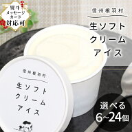 ＼24個 7,760円⇒3,980円！期間限定10/8まで／ 着色料・香料不使用！生ソフトクリーム アイス 選べる 6個…