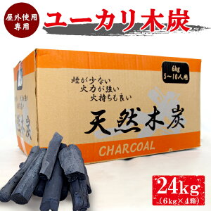  xgiY [JVRؒY 24kg(6kg×4j 1P[X o[xL[ BBQ Lv AEghA Cxg W[ ؒY R L sy e \Lv ܂Ƃߔ Lv 