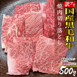 yz YXWtYјa ēp ؂藎Ƃ 500g 󂠂 [X J^[X  Ef o ē  Mtg a   a v[g hV̓ Fs08