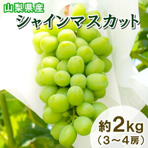 y200~OFFN[|yVX[p[Z[z Ԃǂ RY VC}XJbg 2kg (3`4[) Ȃ }XJbg  O[v ʕ  햳 t[c Yn {̉ʕ 