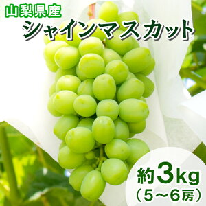 y200~OFFN[|yVX[p[Z[z Ԃǂ RY VC}XJbg 3kg (5`6[) Ȃ }XJbg uhE  O[v ʕ  햳 t[c Yn {