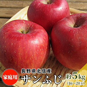  Tӂ yƒpz 5kg 16`20  쌧Y MB  Yn  ь S t[c {̉ʕ  MB ӂ tW Gi Mtg Â W[V[ ʎ VN
