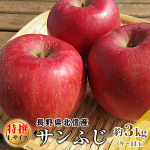  Tӂ yIz LTCY 3kg 9`11  쌧Y MB  Yn  ь S t[c {̉ʕ  MB ӂ tW Gi Mtg Â W[V[ ʎ