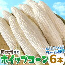とうもろこし 出荷開始 長野県 南信州産 ホイップコーン 6本 高原とうもろこし 朝採 産地直送 フルーツコーン スイートコーン ホワイトコーン 白いとうもろこし 南信州 伊那谷 生で食べれる ：c163