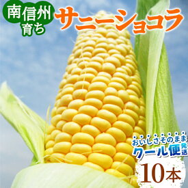 【ポイント5倍★スーパーセール】【予約商品】R8年産 とうもろこし サニーショコラ 10本 約3.5kg おためし お試し 長野県 南信州産 お得 評価★4.87！生で食べられる 高原とうもろこし 朝採 産地直送 新鮮 野菜 フルーツコーン 南信州 伊那谷 :c01