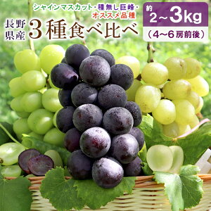 y200~OFFN[|yVX[p[Z[z Ԃǂ VC}XJbg 햳 _Ƃ̂ 3Zbg 2`3kg (4`6[O) 쌧 s L쒬Y Yn Hה t[
