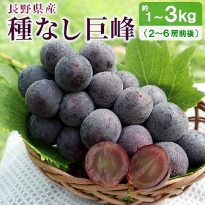 y200~OFFN[|yVX[p[Z[z Ԃǂ  Ȃ 1`3kg (2`6[O)  쌧 s L쒬Y Yn 햳ʕ t[c {̉ʕ MB Mtg 蕨 p