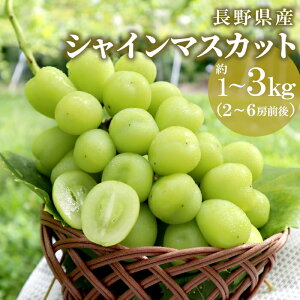 y200~OFFN[|yVX[p[Z[z Ԃǂ VC}XJbg 1`3kg (2`6[O) 쌧 s L쒬Y Yn Ȃ 炲 uhE  }XJbg {̉ʕ  