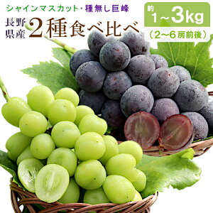 y200~OFFN[|yVX[p[Z[z Ԃǂ VC}XJbg 햳 2ސHה 1`3kg (2`6[O) 쌧 s L쒬Y Yn 햳 ʕ t[c }XJb